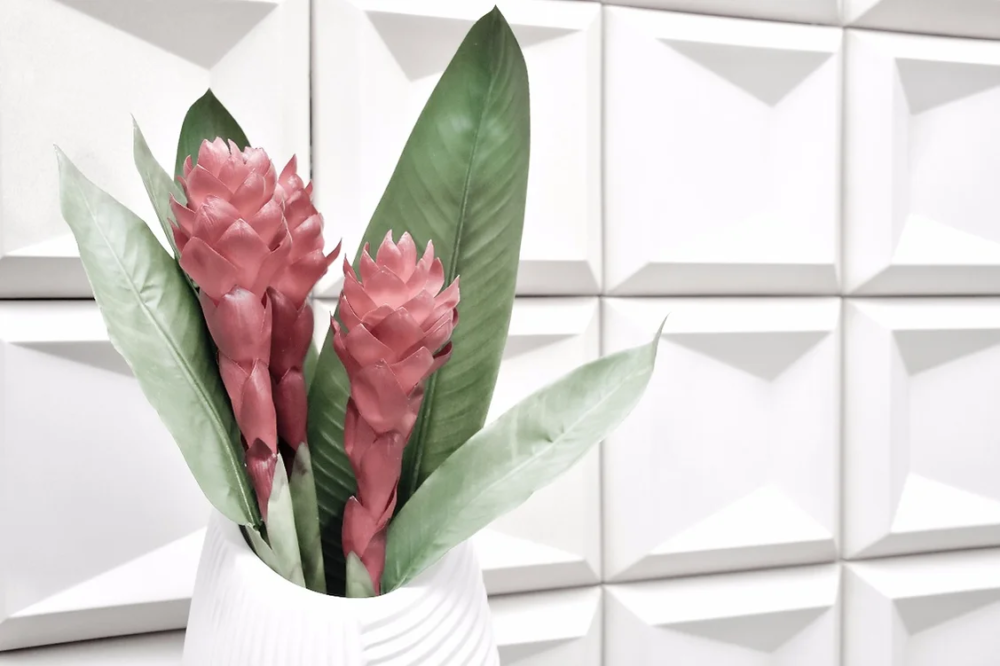 Linha Aster