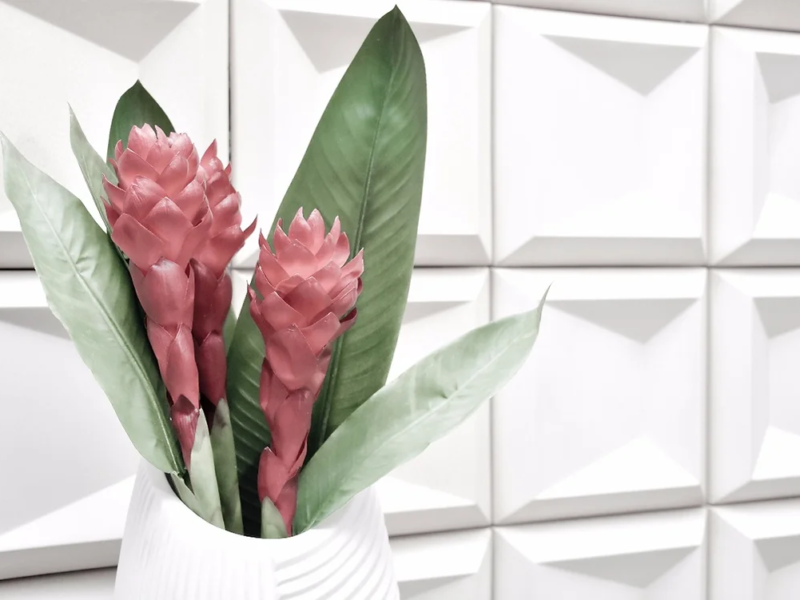 Linha Aster